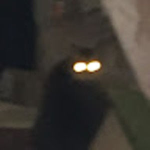Meet your Posher, Ghost-opossum